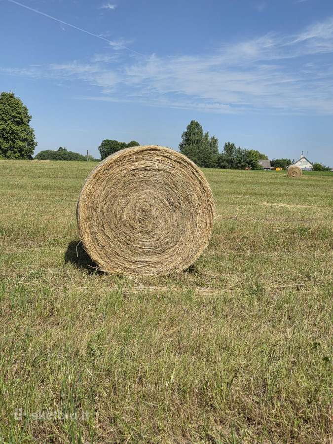 Parduodamas šienas