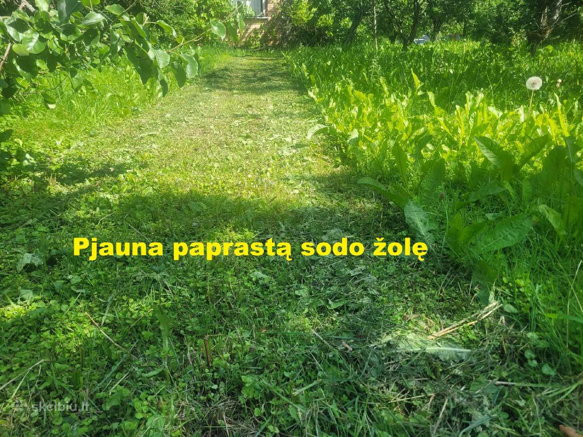 Mulčerio nuoma žoliapjovės nuoma sodo traktoriuko - nuotraukos Nr. 5