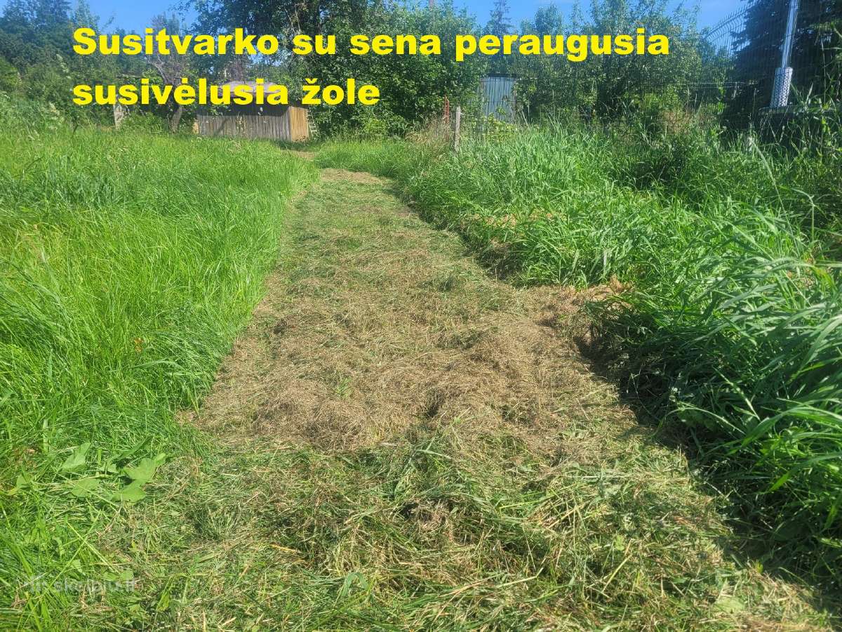Mulčerio nuoma žoliapjovės nuoma sodo traktoriuko - nuotraukos Nr. 4