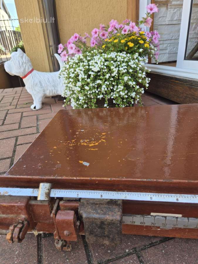 Svarstyklės. Iki 150kg. 50€.