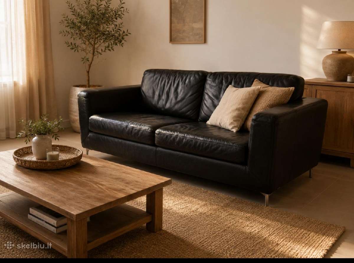 Odinė sofa