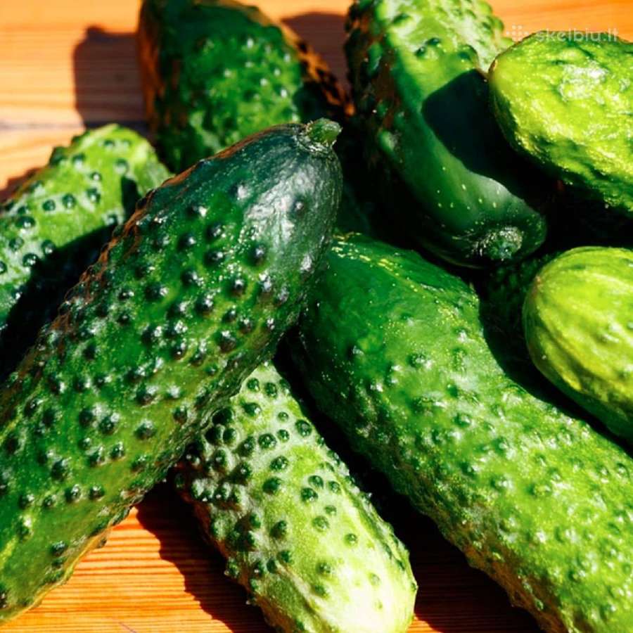 Lietuviški agurkai didmena Švieži 1,70 €/kg - nuotraukos Nr. 3