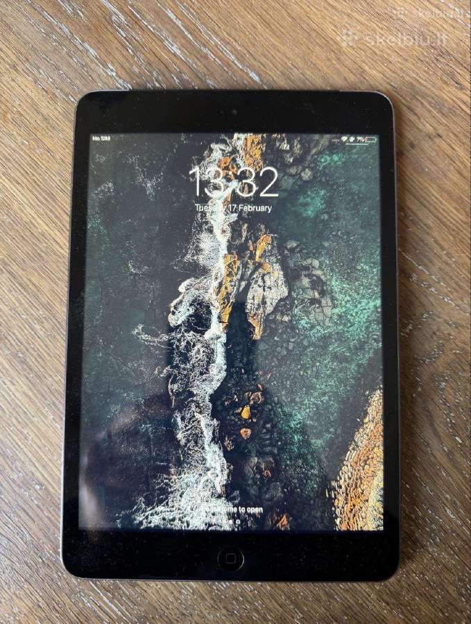 iPad mini 2