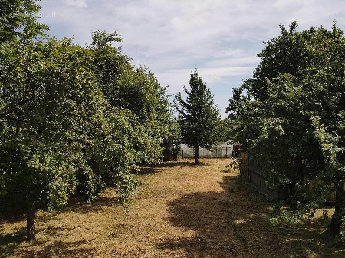 Parduodamas sklypas su sodo nameliu - nuotraukos Nr. 2