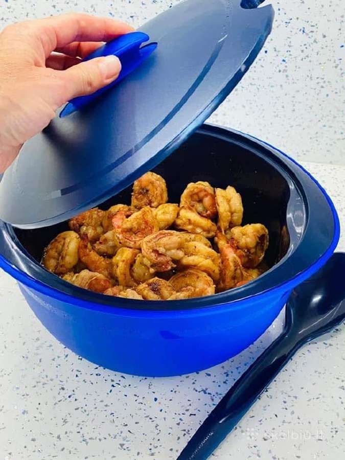 Tupperware iso dua termo indas