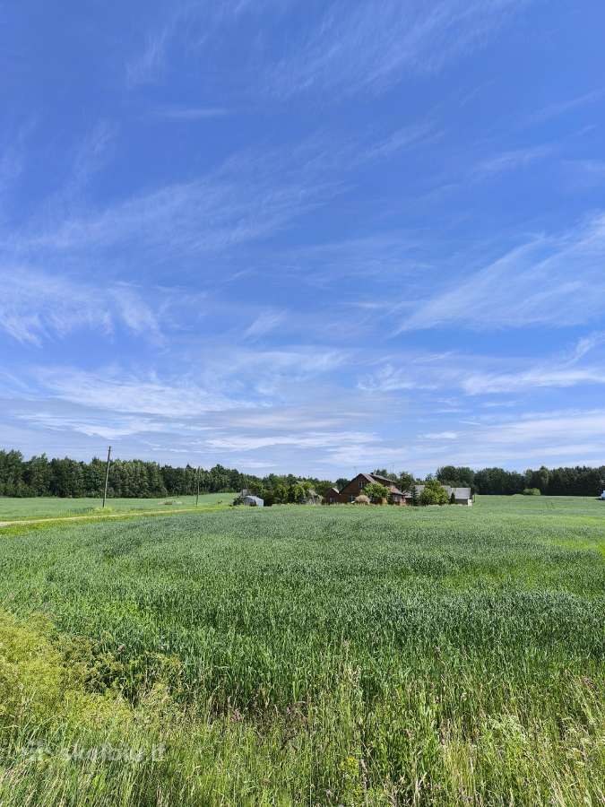 Parduodama Sodyba Su 10,6756 Ha Žemės Plungės Raj - nuotraukos Nr. 9