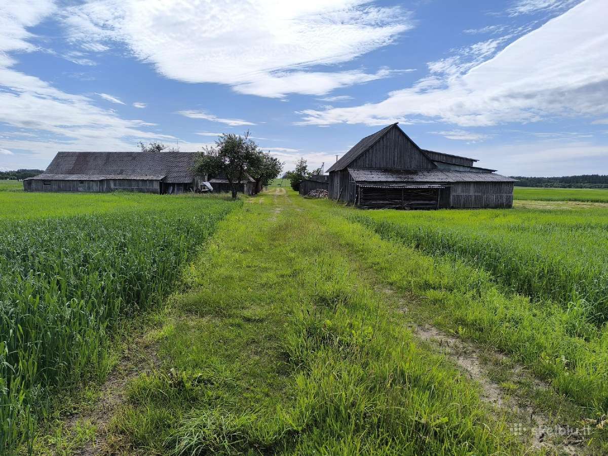 Parduodama Sodyba Su 10,6756 Ha Žemės Plungės Raj - nuotraukos Nr. 11