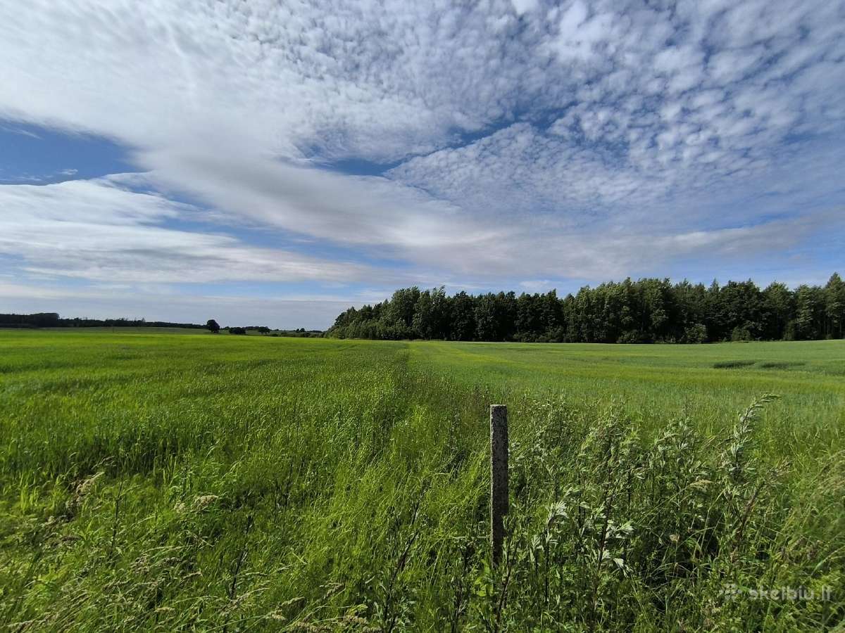Parduodama Sodyba Su 10,6756 Ha Žemės Plungės Raj - nuotraukos Nr. 13