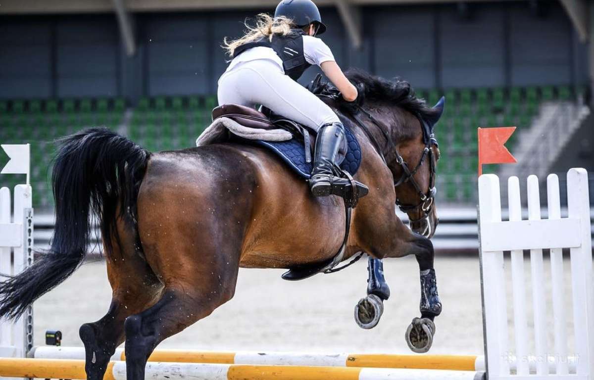 Kumelė Elba ieško naujų namų. - nuotraukos Nr. 7