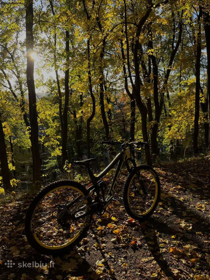 Norco range C7.3 - nuotraukos Nr. 2