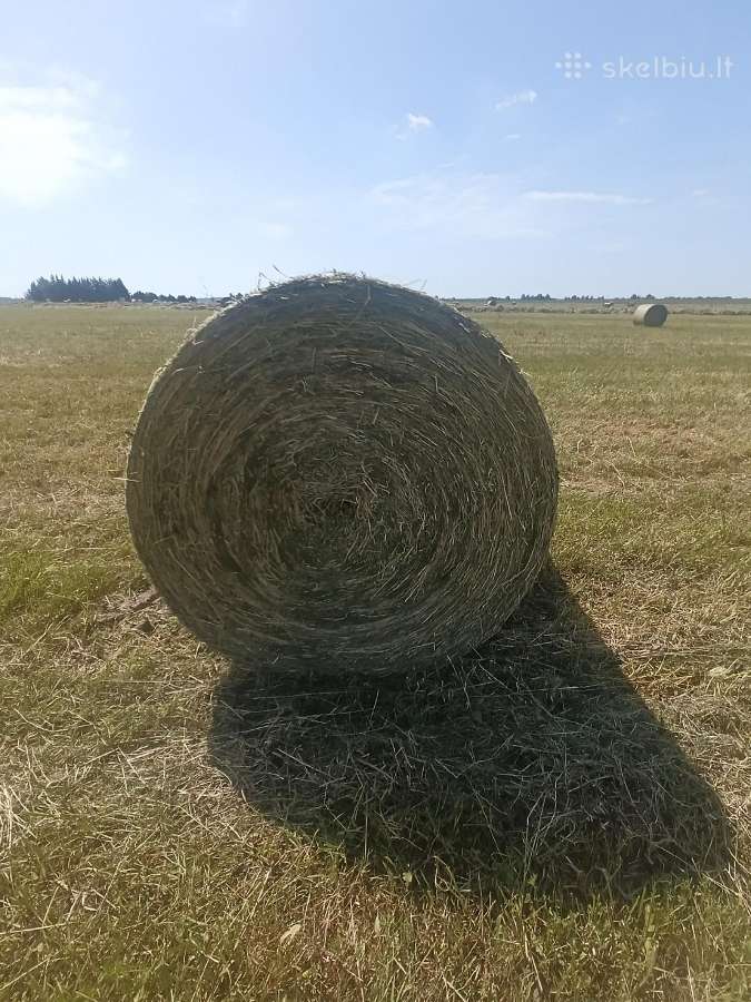 Šienas