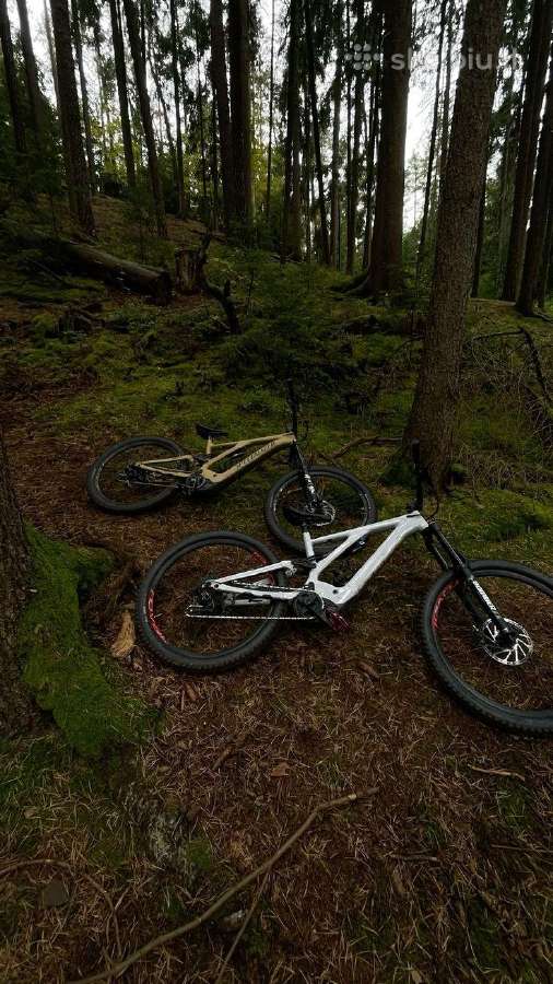 Ieškau nemokamo, nenaudojamo, neprižiūrimo MTB.