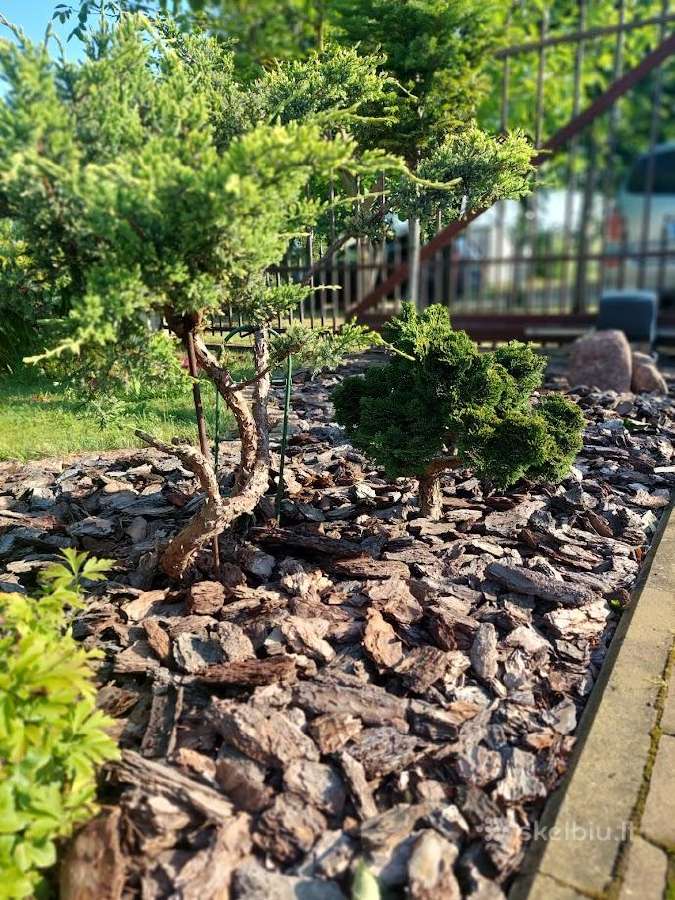 Dekoratyvinis pušų mulčas 3,99eur. su pristatymu! - nuotraukos Nr. 19