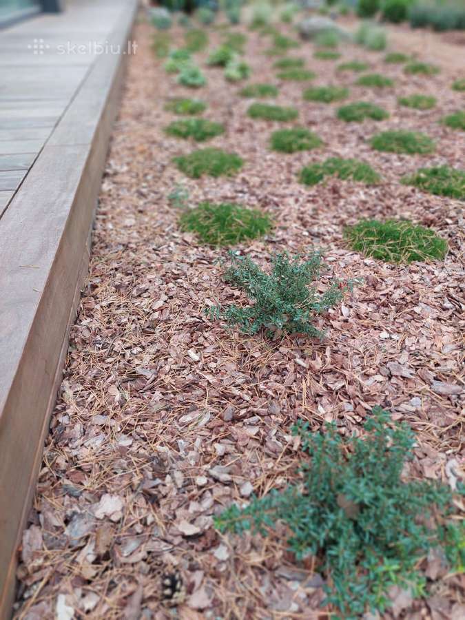 Dekoratyvinis pušų mulčas 3,99eur. su pristatymu! - nuotraukos Nr. 31