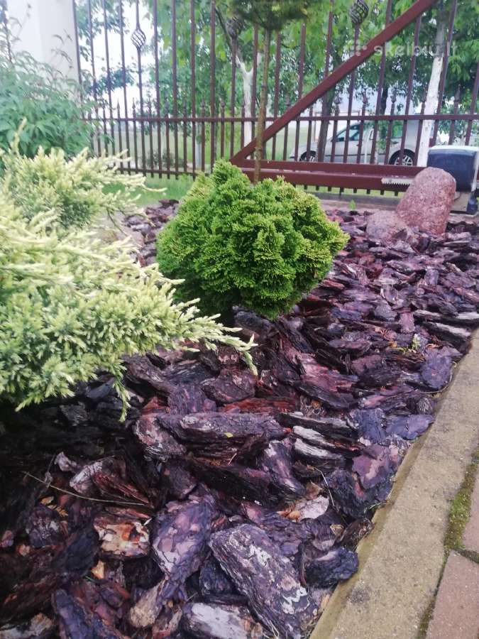 Dekoratyvinis pušų mulčas 3,99eur. su pristatymu! - nuotraukos Nr. 33