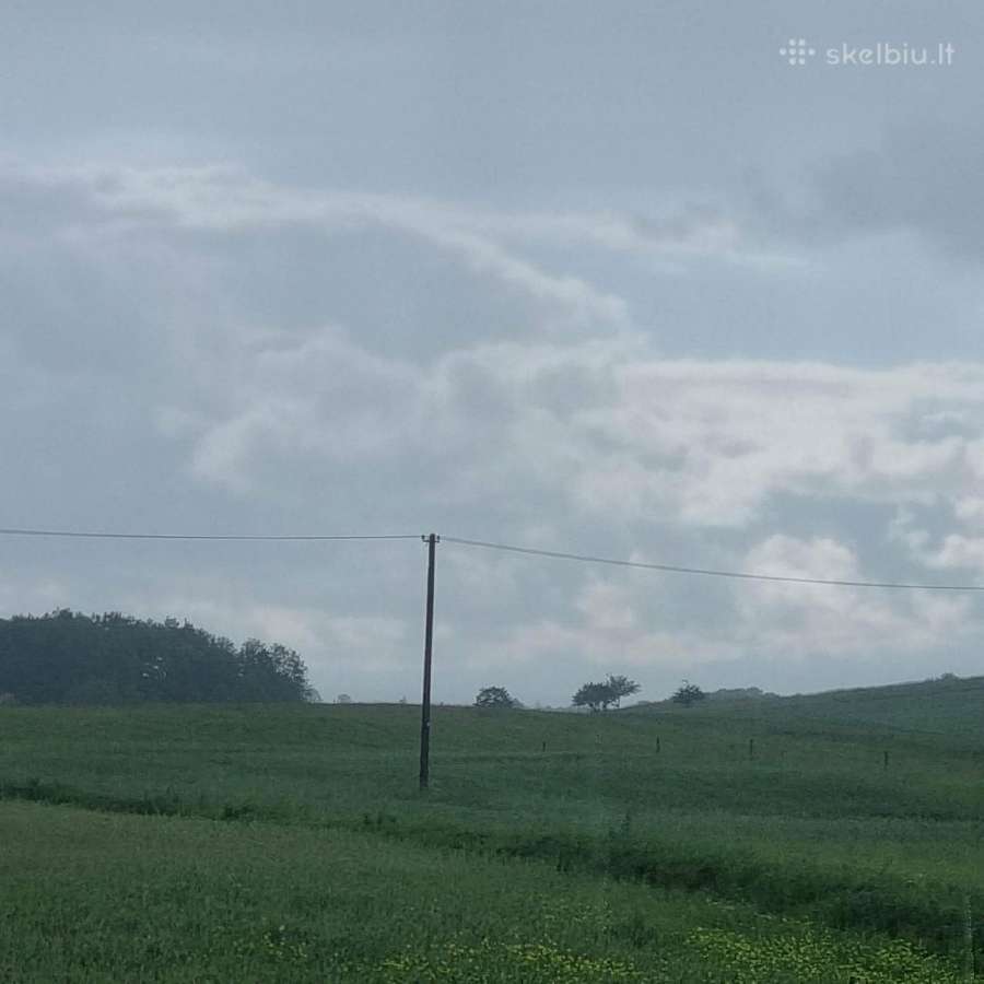 Parduodama zeme Lazdiju rajone, netoli saslykines