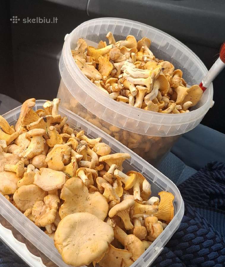 Voveruškos. 4.5 €/ litras