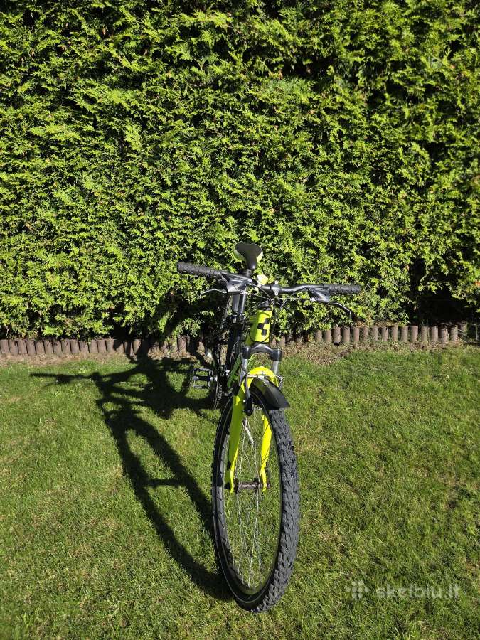 Kalnų dviratis Cube race 260 - nuotraukos Nr. 7