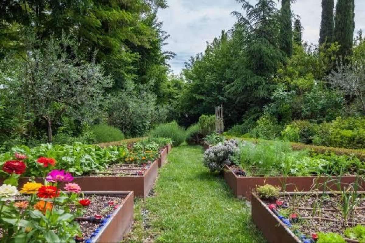 Pirkčiau sodą Klevo arba Šermuto soduose