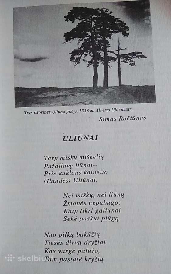 Uliūnai - nuotraukos Nr. 4