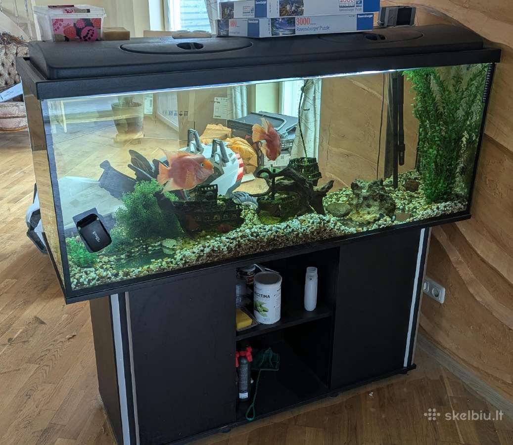 Akvariumas (~450 l) su spintele, filtru ir žuvimis