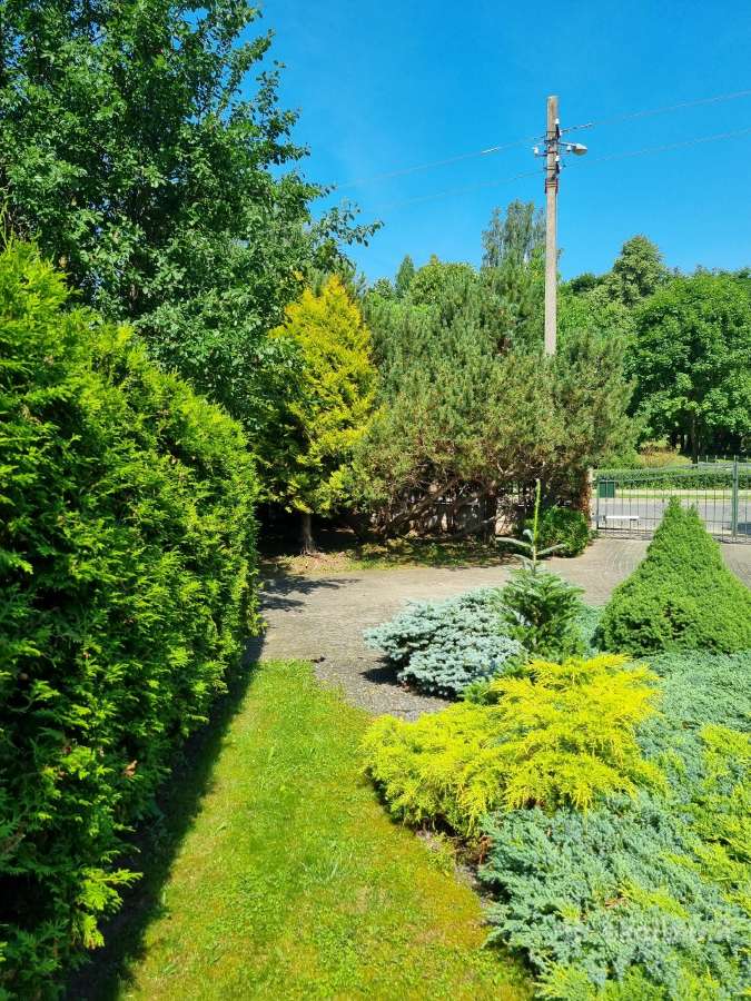 Utenos centre gamtos apsuptyje gyvenamas namas - nuotraukos Nr. 10