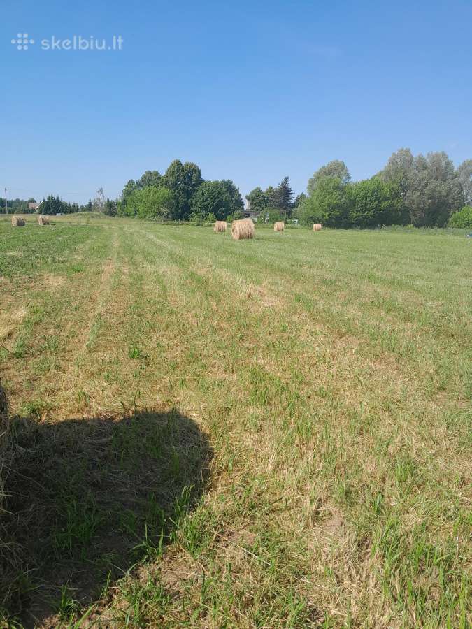 Parduodu siena ir backa - nuotraukos Nr. 2