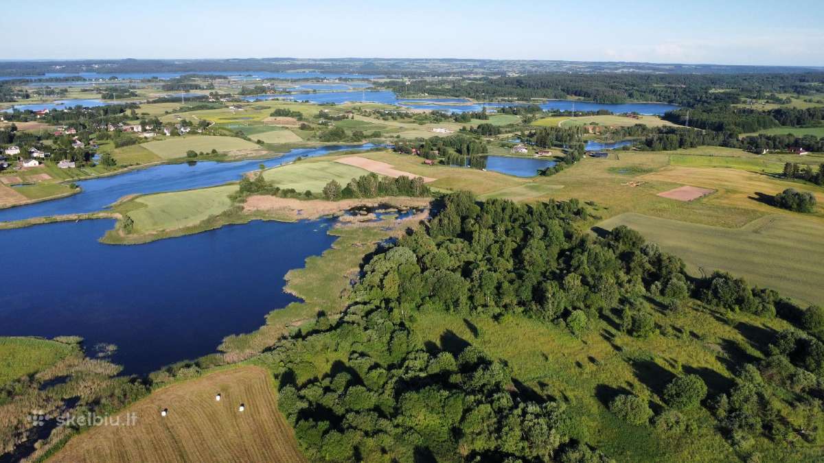 Parduodama keturi sklypai Kareivonių gyvenvietėje