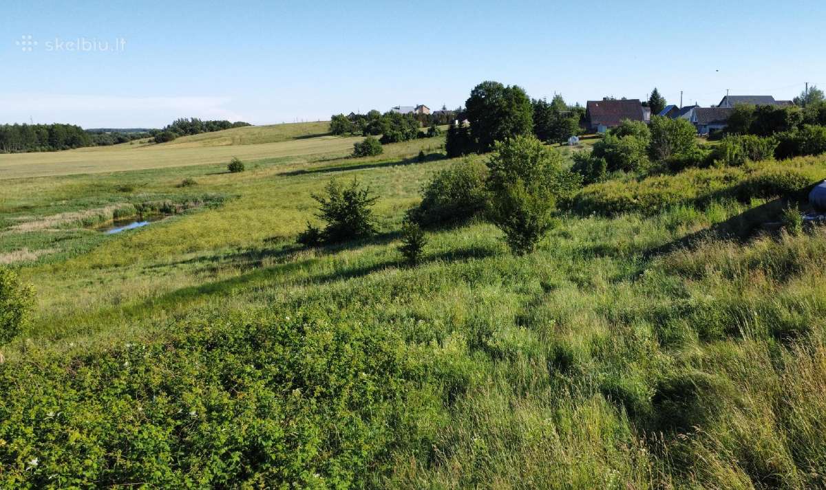 Parduodama keturi sklypai Kareivonių gyvenvietėje - nuotraukos Nr. 10