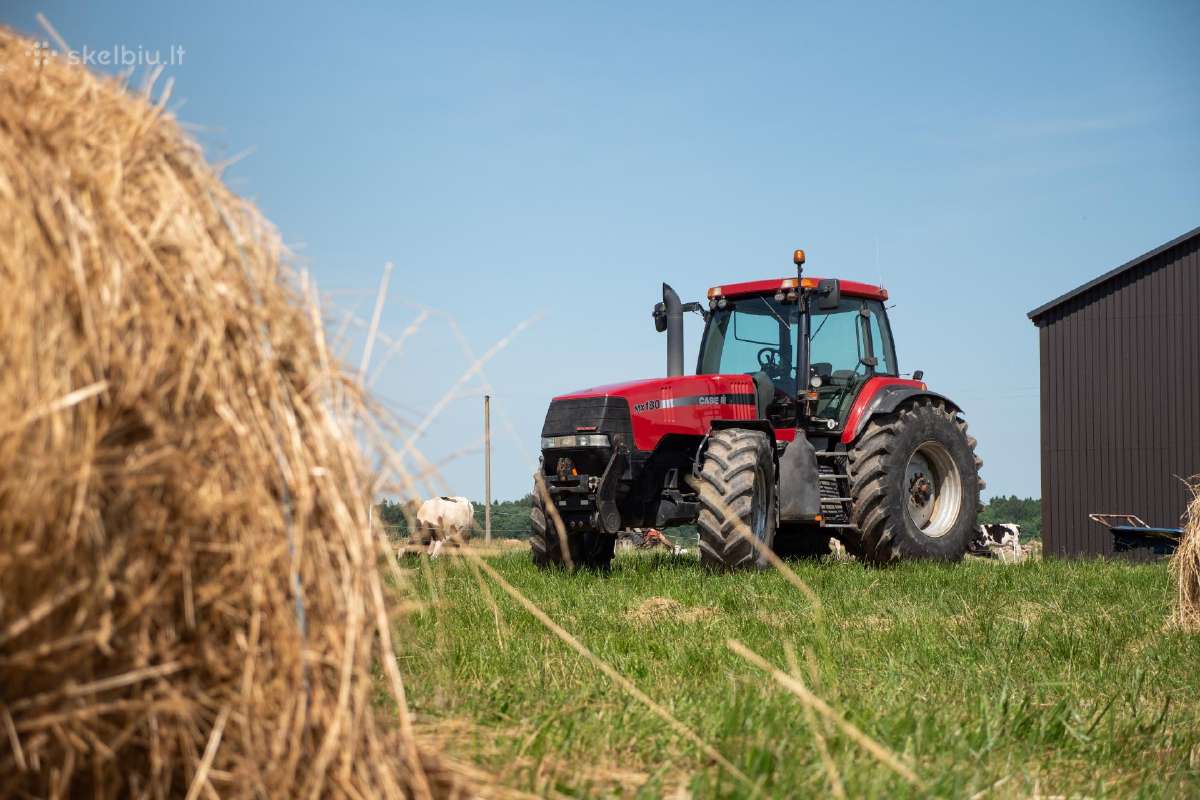 Case magnum mx180