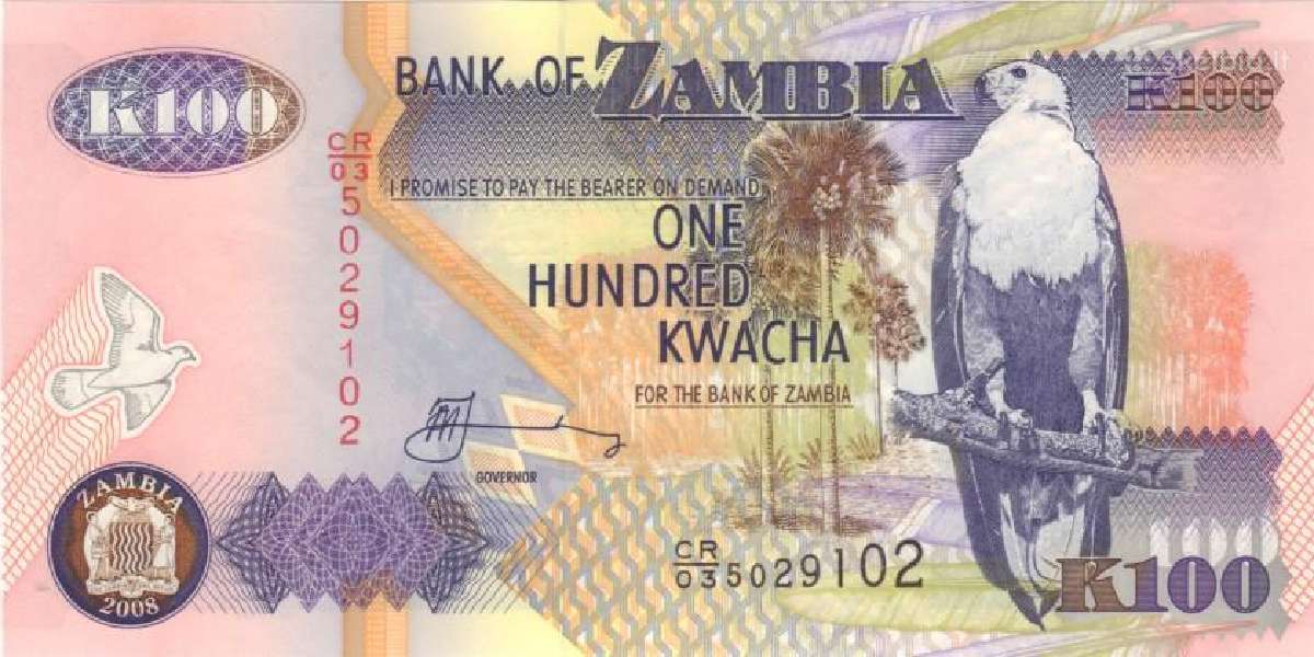 Zambia 100 kwacha 2008. Unc. P - nuotraukos Nr. 2