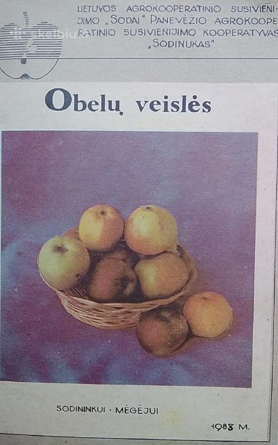 Obelų veislės