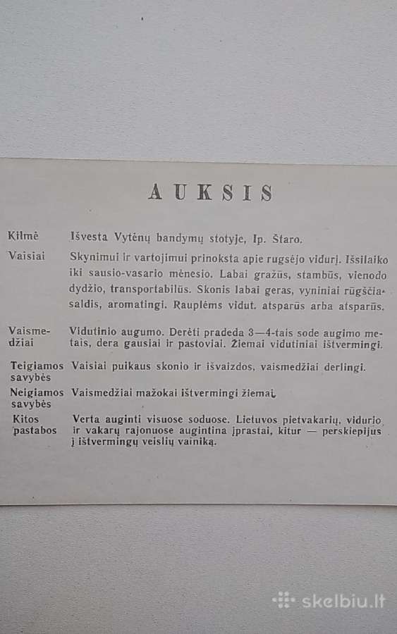 Obelų veislės - nuotraukos Nr. 6