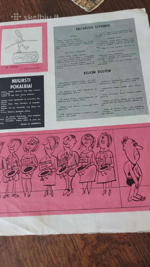 Žurnalas Šluota 1966 m. rugsėjis - nuotraukos Nr. 5