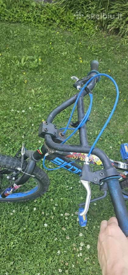 BMX Score
