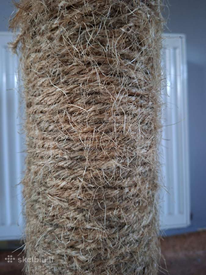 Draskyklė katei su guoliu - nuotraukos Nr. 3