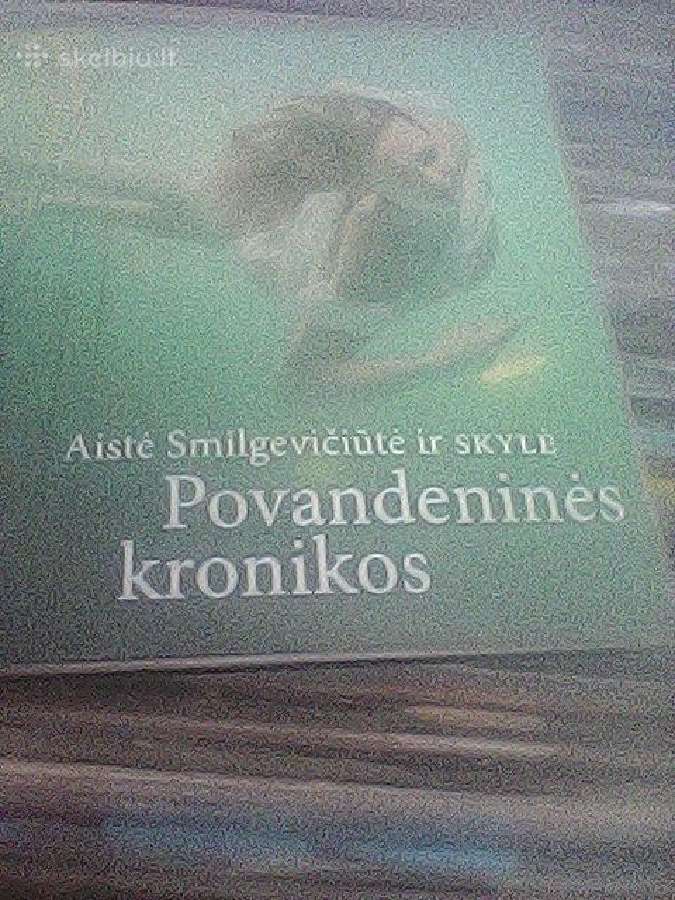 Lietuvos atlikėjų muzikiniai CD diskai, - nuotraukos Nr. 27