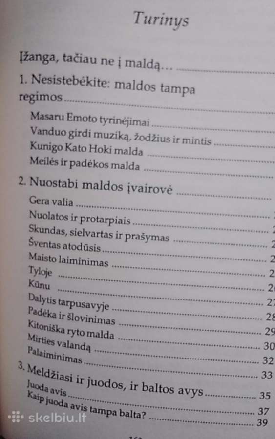 Ir juodos avys gali melstis - nuotraukos Nr. 4