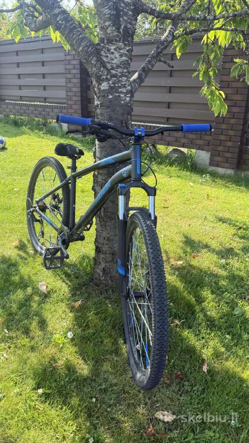 Modifikuotas Wheelie bike