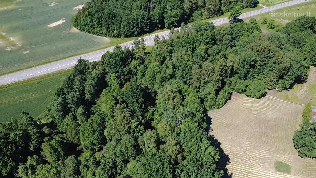 Sklypas šalia Upės ir Miško - nuotraukos Nr. 4