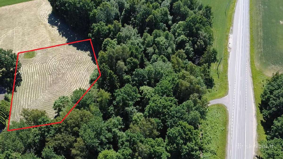 Sklypas šalia Upės ir Miško