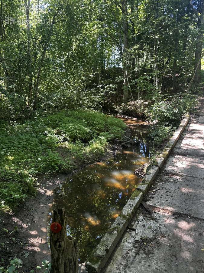 Sklypas šalia Upės ir Miško - nuotraukos Nr. 7
