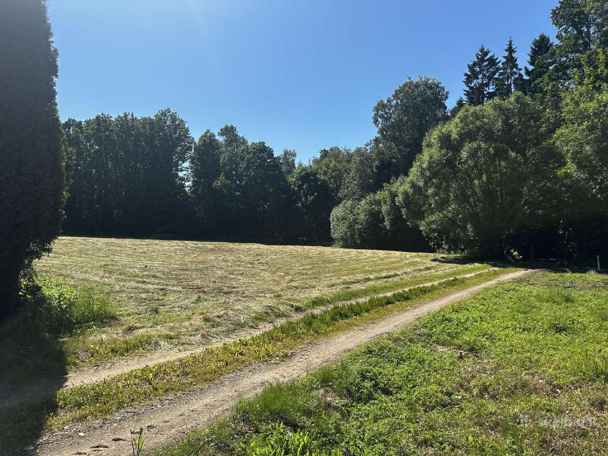 Sklypas šalia Upės ir Miško - nuotraukos Nr. 10