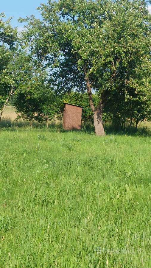 Parduodamas sklypas Alytaus raj. Lelionių k.