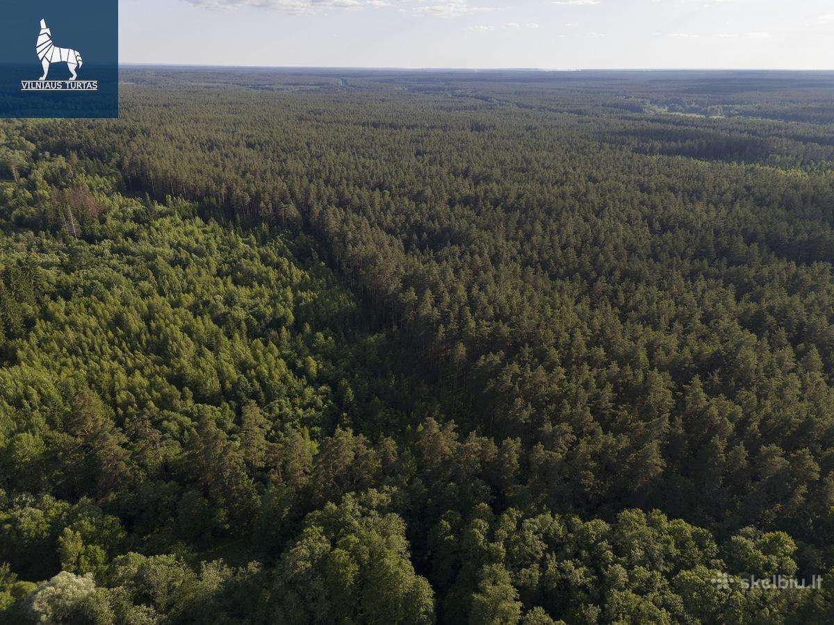 Parduodamas namas su sklypu Statkuškės kaime - nuotraukos Nr. 30