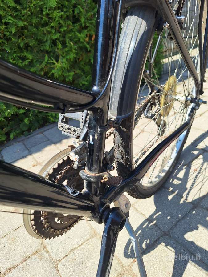 Specialized ariel moteriskas - nuotraukos Nr. 2