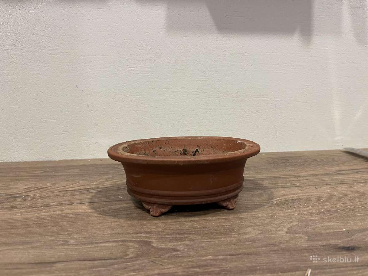 Bonsai vazonas/gėlių vazonas