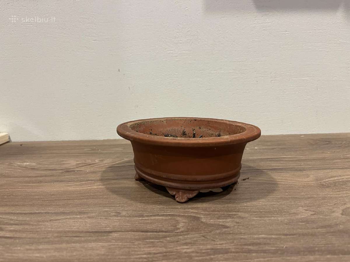 Bonsai vazonas/gėlių vazonas - nuotraukos Nr. 3