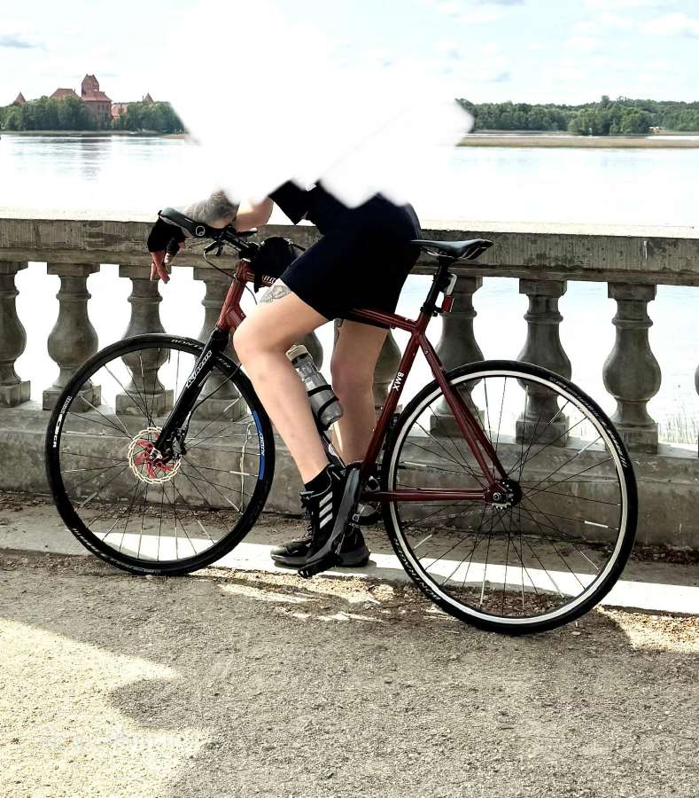 Lengvas Specialized custom single speed dviratis - nuotraukos Nr. 2