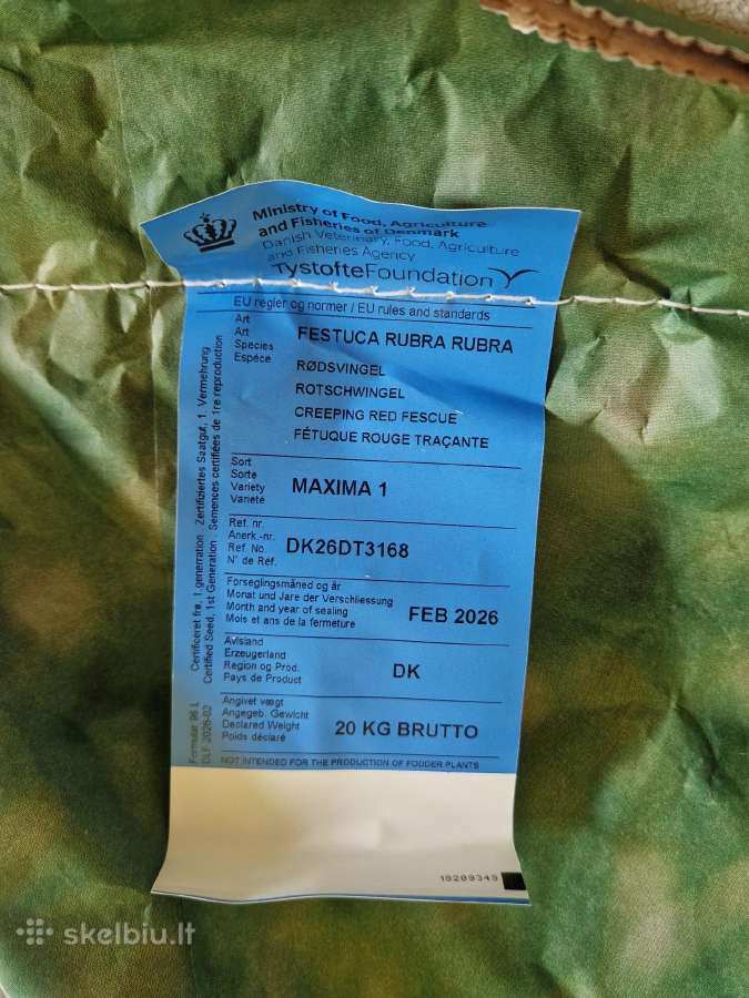Vejos sėklos miškinė miglė, eraičinai - nuotraukos Nr. 3